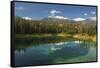 Fourth lake of valley of Five Lakes trail, Jasper National Park, UNESCO World Heritage Site, Canadi-Jon Reaves-Framed Stretched Canvas