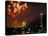 Fourth of July Fireworks from the Space Needle, Seattle, Washington, USA-Jamie & Judy Wild-Stretched Canvas