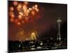 Fourth of July Fireworks from the Space Needle, Seattle, Washington, USA-Jamie & Judy Wild-Mounted Photographic Print