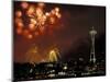 Fourth of July Fireworks from the Space Needle, Seattle, Washington, USA-Jamie & Judy Wild-Mounted Photographic Print