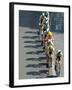 Fourth Stage of Tour de France, Montpellier, July 7, 2009-null-Framed Photographic Print