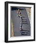 Fourth Stage of Tour de France, Montpellier, July 7, 2009-null-Framed Photographic Print