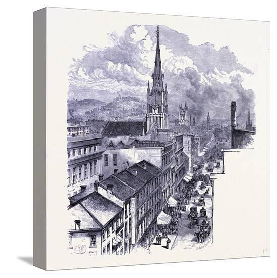 Stretched Canvas Print, , large