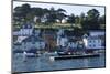Fowey Harbour and Town, Cornwall, England, United Kingdom, Europe-Peter Groenendijk-Mounted Photographic Print