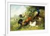 Fowl and Peacocks, 1899-Arthur Fitzwilliam Tait-Framed Giclee Print