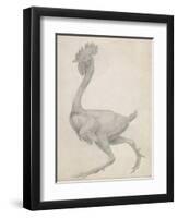 Fowl: Lateral View with Most Feathers Removed-George Stubbs-Framed Giclee Print