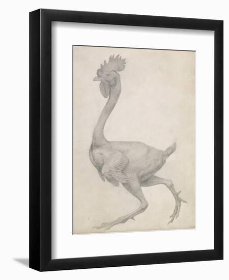 Fowl: Lateral View with Most Feathers Removed-George Stubbs-Framed Giclee Print