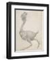 Fowl: Lateral View with Most Feathers Removed-George Stubbs-Framed Giclee Print