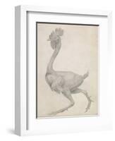 Fowl: Lateral View with Most Feathers Removed-George Stubbs-Framed Giclee Print