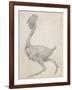 Fowl: Lateral View with Most Feathers Removed-George Stubbs-Framed Giclee Print