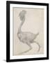 Fowl: Lateral View with Most Feathers Removed-George Stubbs-Framed Giclee Print