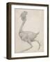 Fowl: Lateral View with Most Feathers Removed-George Stubbs-Framed Giclee Print