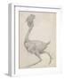 Fowl: Lateral View with Most Feathers Removed-George Stubbs-Framed Giclee Print