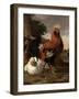 Fowl (Oil on Canvas)-Melchior de Hondecoeter-Framed Giclee Print