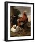 Fowl (Oil on Canvas)-Melchior de Hondecoeter-Framed Giclee Print