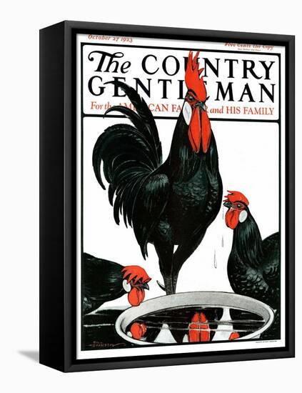 "Fowl Reflections," Country Gentleman Cover, October 27, 1923-Paul Bransom-Framed Stretched Canvas