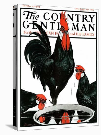 "Fowl Reflections," Country Gentleman Cover, October 27, 1923-Paul Bransom-Stretched Canvas