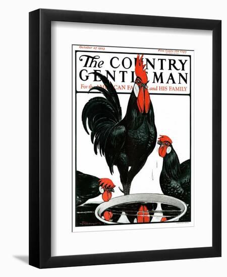 "Fowl Reflections," Country Gentleman Cover, October 27, 1923-Paul Bransom-Framed Premium Giclee Print