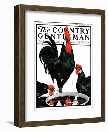 "Fowl Reflections," Country Gentleman Cover, October 27, 1923-Paul Bransom-Framed Giclee Print