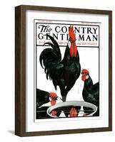 "Fowl Reflections," Country Gentleman Cover, October 27, 1923-Paul Bransom-Framed Giclee Print