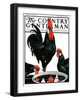 "Fowl Reflections," Country Gentleman Cover, October 27, 1923-Paul Bransom-Framed Giclee Print