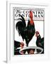 "Fowl Reflections," Country Gentleman Cover, October 27, 1923-Paul Bransom-Framed Giclee Print