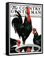 "Fowl Reflections," Country Gentleman Cover, October 27, 1923-Paul Bransom-Framed Stretched Canvas