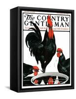 "Fowl Reflections," Country Gentleman Cover, October 27, 1923-Paul Bransom-Framed Stretched Canvas