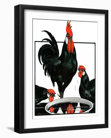 "Fowl Reflections,"October 27, 1923-Paul Bransom-Framed Giclee Print