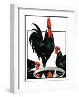 "Fowl Reflections,"October 27, 1923-Paul Bransom-Framed Giclee Print