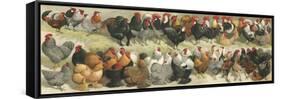 Fowl-Alexander Francis Lydon-Framed Stretched Canvas