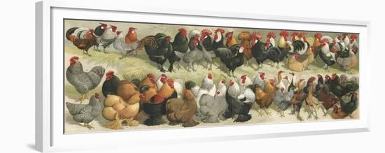 Fowl-Alexander Francis Lydon-Framed Premium Giclee Print