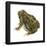 Fowler's Toad (Bufo Fowleri), Amphibians-Encyclopaedia Britannica-Framed Poster