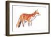 Fox, 2021 (crayon and watercolour on paper)-David Mayer-Framed Giclee Print