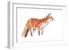 Fox, 2021 (crayon and watercolour on paper)-David Mayer-Framed Giclee Print