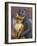 Fox and Bear Couple-W Johnson James-Framed Giclee Print