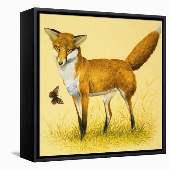 Fox and Butterfly-null-Framed Stretched Canvas