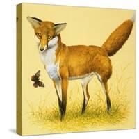 Fox and Butterfly-null-Stretched Canvas