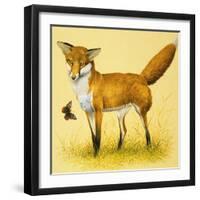 Fox and Butterfly-null-Framed Giclee Print