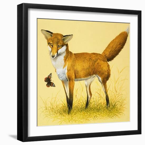 Fox and Butterfly-null-Framed Giclee Print