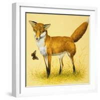 Fox and Butterfly-null-Framed Giclee Print