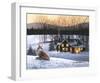 Fox and Cabin-Russell Cobane-Framed Giclee Print