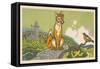 Fox And Robin-Hauman-Framed Stretched Canvas