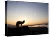 Fox and Sunrise-null-Stretched Canvas