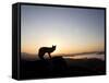 Fox and Sunrise-null-Framed Stretched Canvas