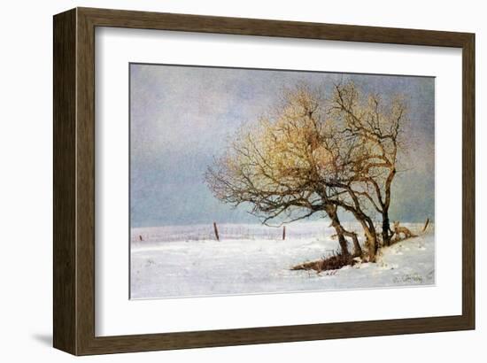 Fox and Winter Oak-Chris Vest-Framed Art Print