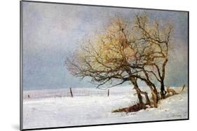 Fox and Winter Oak-Chris Vest-Mounted Art Print