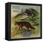 Fox Brand - California - Citrus Crate Label-Lantern Press-Framed Stretched Canvas