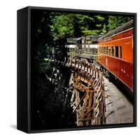 Fox Creek Trestle-Jody Miller-Framed Stretched Canvas