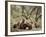 Fox Cubs-null-Framed Photographic Print